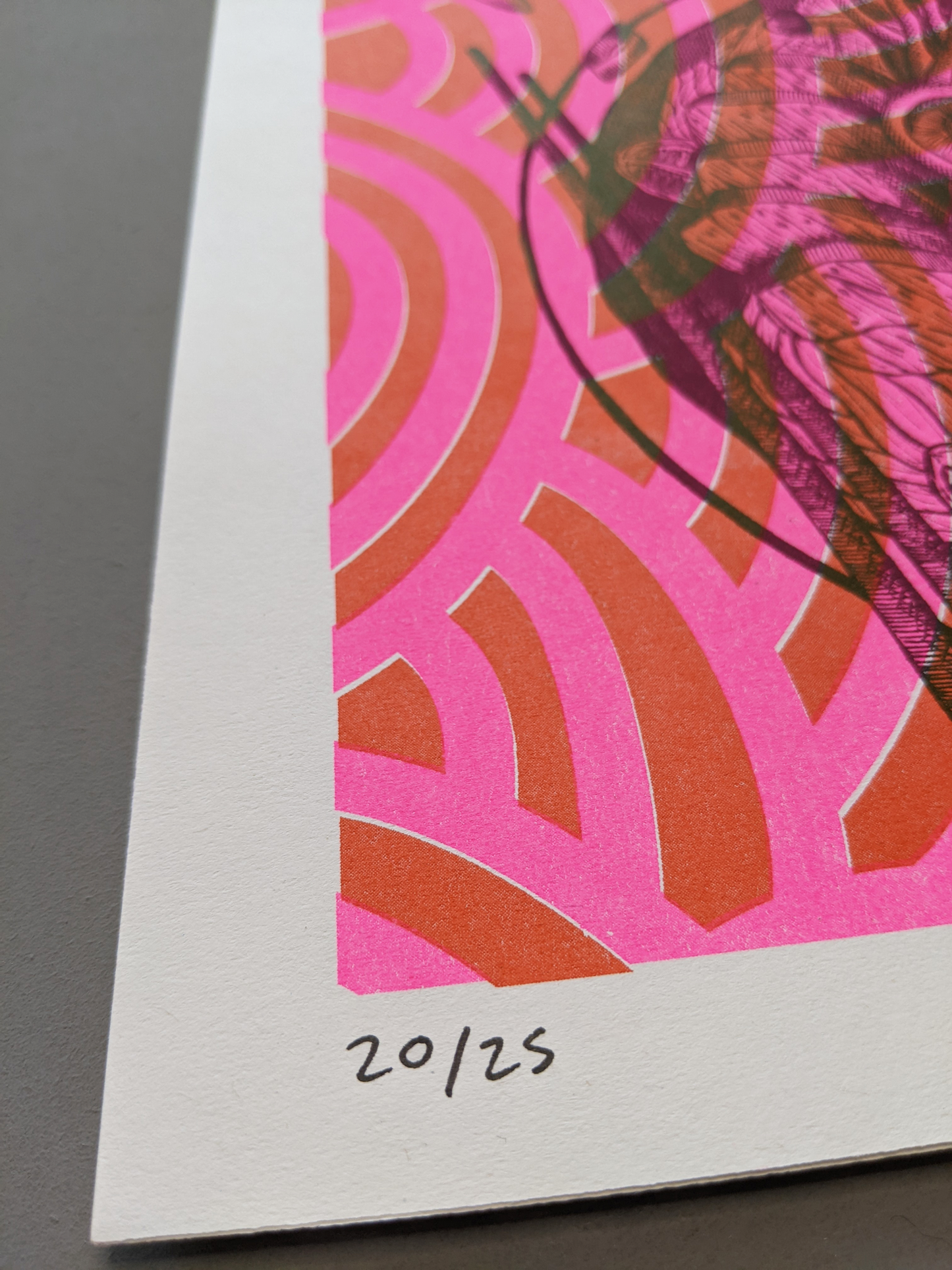 Use Your Noodles Risograph