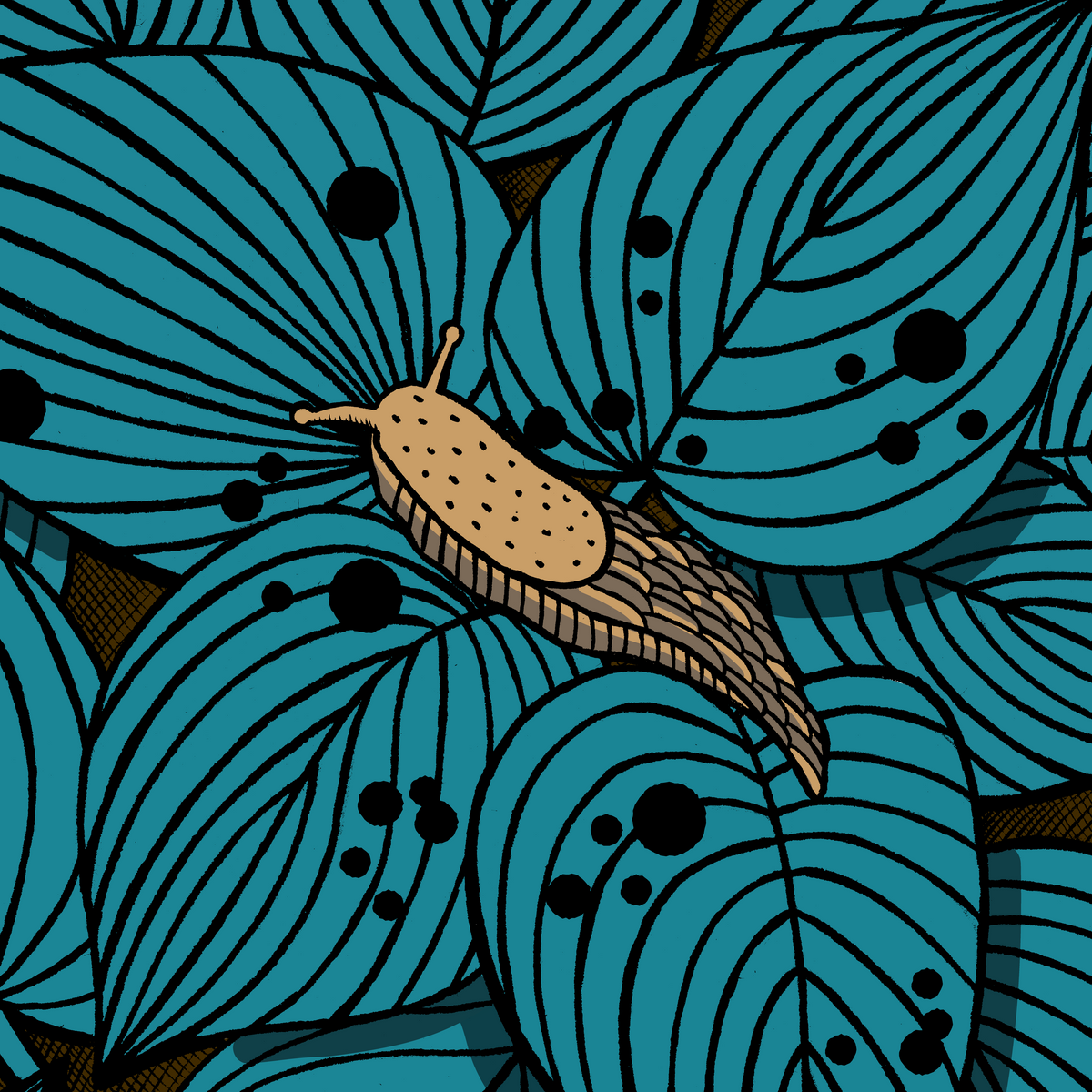 Hosta La Vista Print
